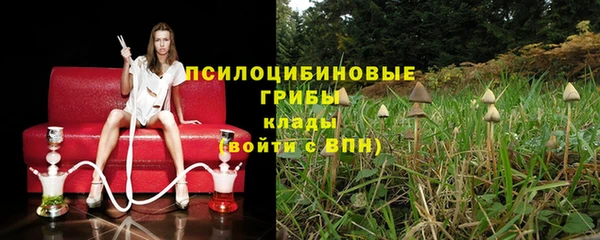 спиды Абаза